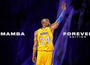 九游娱乐官方网站-文班亚马爆发难阻火箭升空，休城硬仗擒鹰显韧性