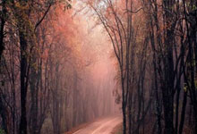 九游APP-马来西亚羽毛球队强势泰国羽毛球队，桃田贤斗统治全场的简单介绍