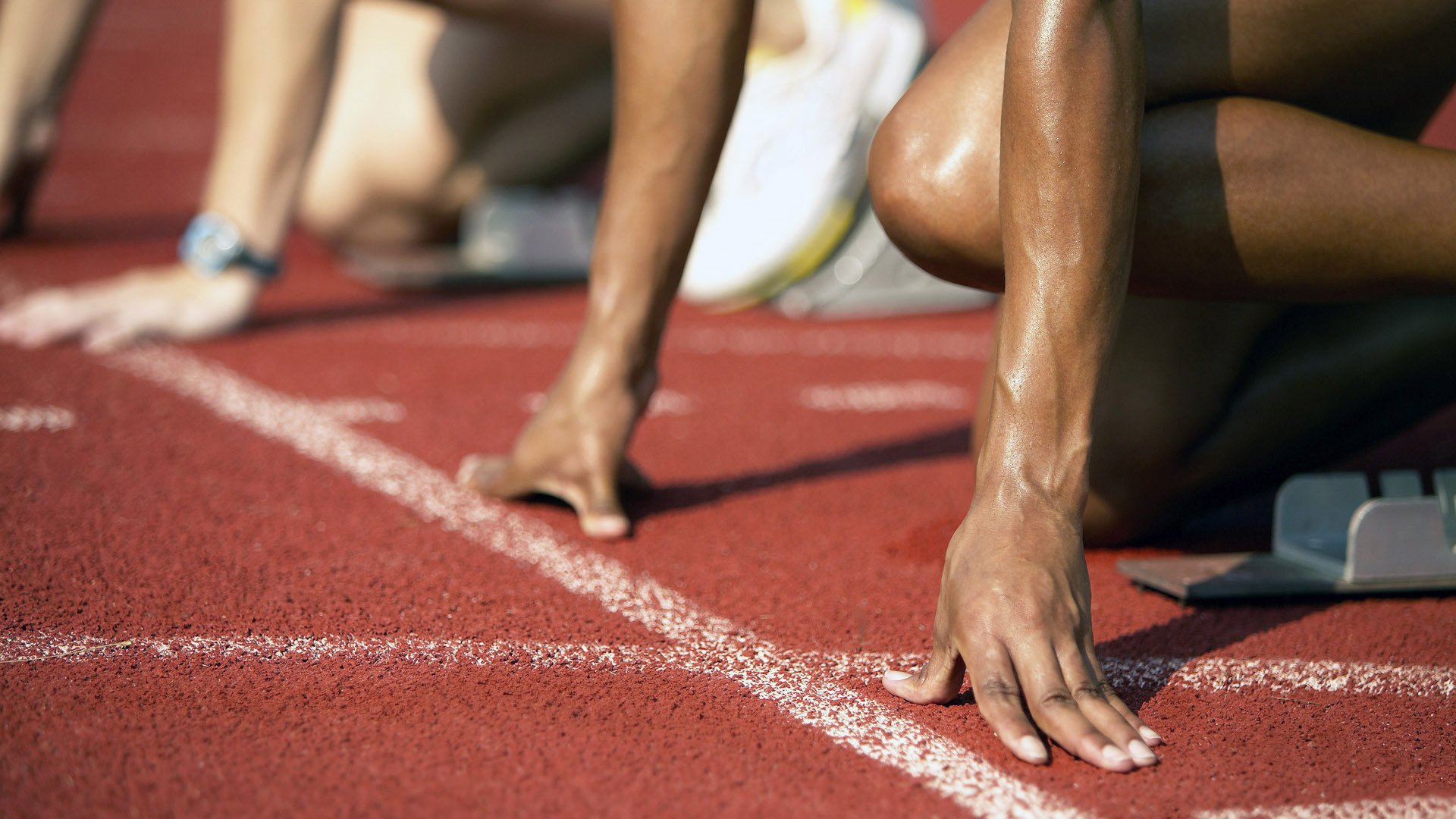 东决关键战焦点战，广东队攻防一体，全面碾压黄蜂